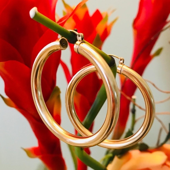 MALINDA Thick Hoop Earrings - Picture 1 of 2